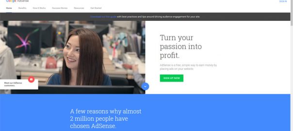 WordPress Enable Google Page Level Ads