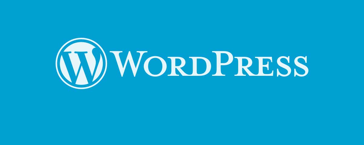 Website Design WordPress Development